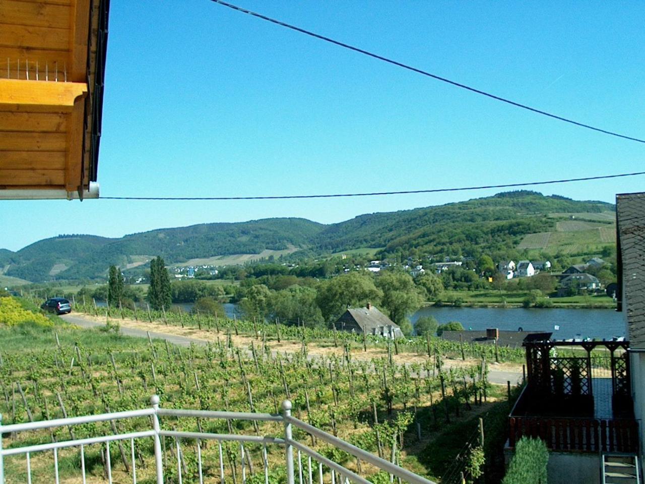 Wein- Und Gaestehaus Genetsch Lieser Exterior photo